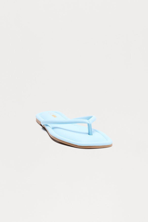 Summers In Maui Flip Flops - Blue