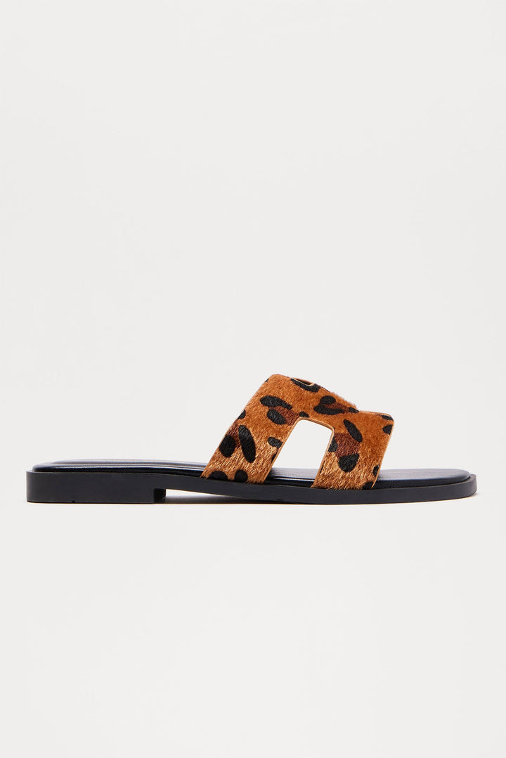 Don't Sugarcoat It Slides - Leopard