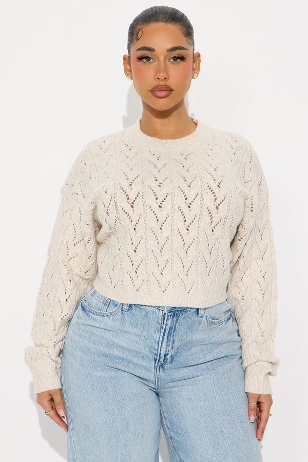Brunch Girly Pointelle Sweater - Oatmeal