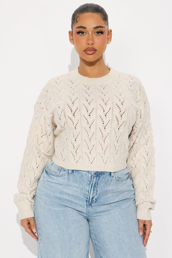 Brunch Girly Pointelle Sweater - Oatmeal