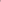 CARLENE - FUCHSIA
